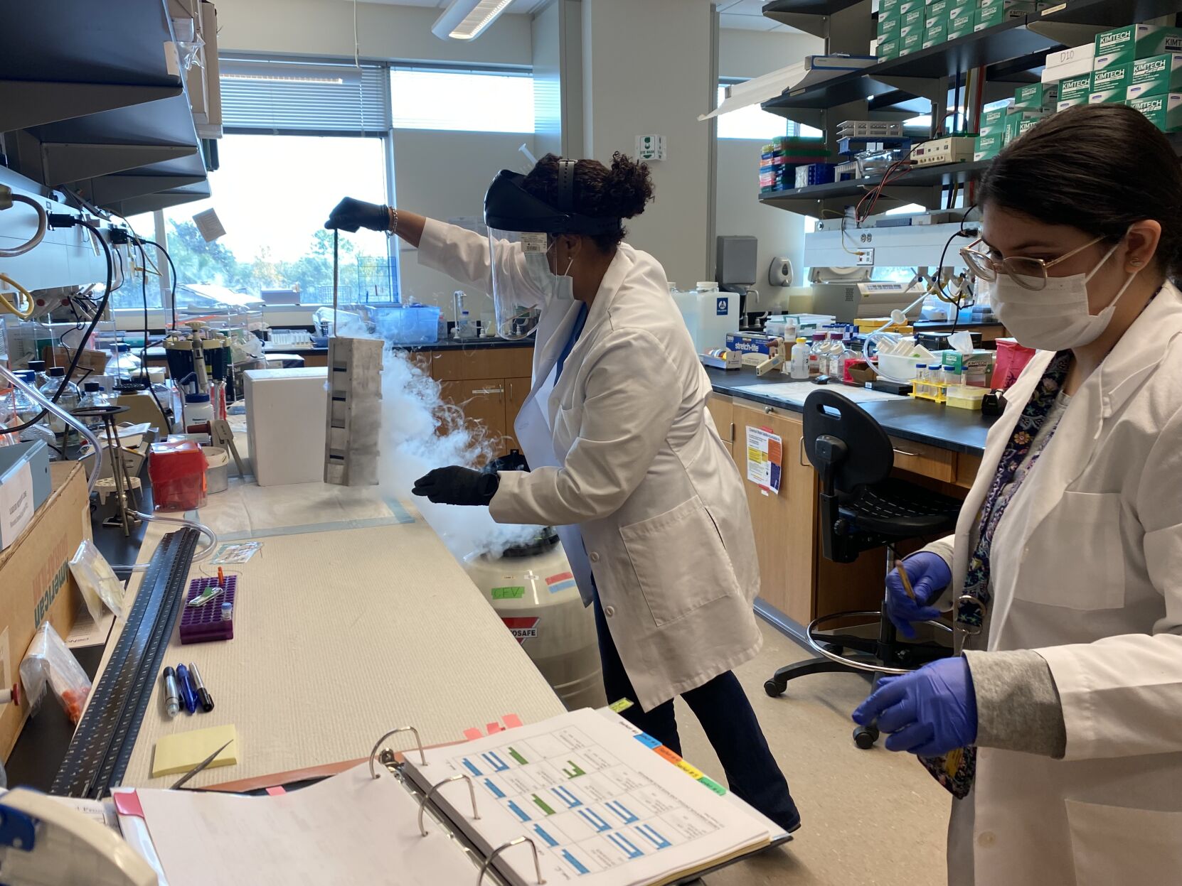 UCF Professor - Cancer Research